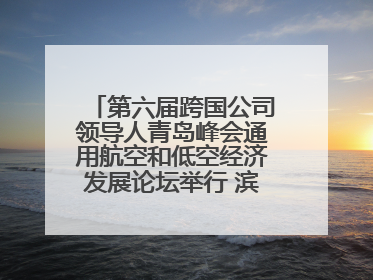 第六届跨国公司领导人青岛峰会通用航空和低空经济发展论坛举行 滨州市全方位推介低空经济发展优势