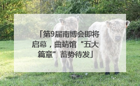 第9届南博会即将启幕，曲靖馆“五大篇章”蓄势待发