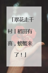 翠花走千村丨稻田有喜，螃蟹来了！