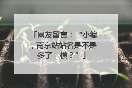网友留言：“小编，南京站站名是不是多了一横？”