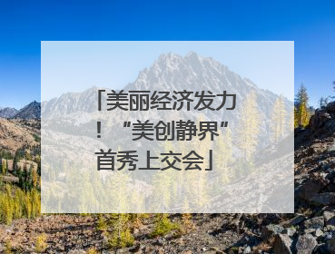 美丽经济发力！“美创静界”首秀上交会
