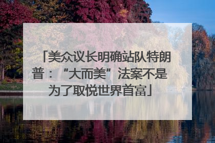 美众议长明确站队特朗普：“大而美”法案不是为了取悦世界首富