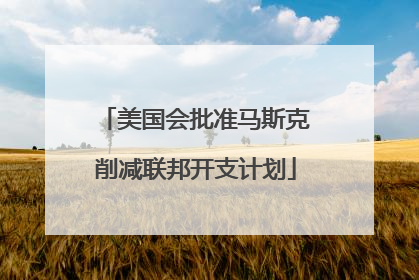 美国会批准马斯克削减联邦开支计划