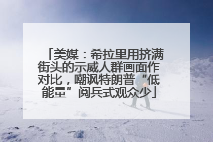 美媒：希拉里用挤满街头的示威人群画面作对比，嘲讽特朗普“低能量”阅兵式观众少