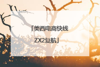 美西电商快线ZX2复航