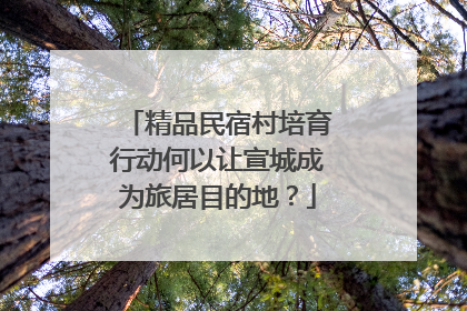 精品民宿村培育行动何以让宣城成为旅居目的地？