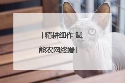 精耕细作 赋能农网终端