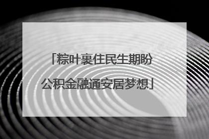 粽叶裹住民生期盼 公积金融通安居梦想