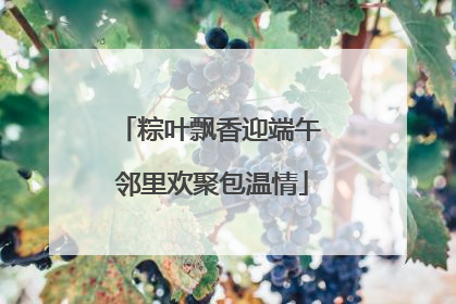 粽叶飘香迎端午 邻里欢聚包温情