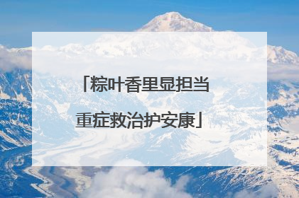 粽叶香里显担当 重症救治护安康