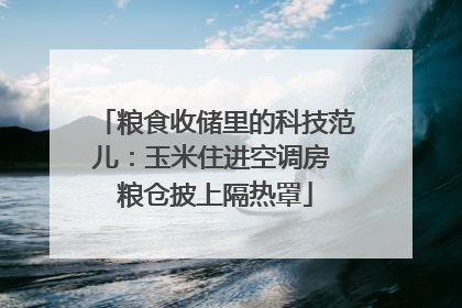 粮食收储里的科技范儿：玉米住进空调房 粮仓披上隔热罩