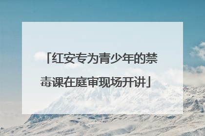 红安专为青少年的禁毒课在庭审现场开讲
