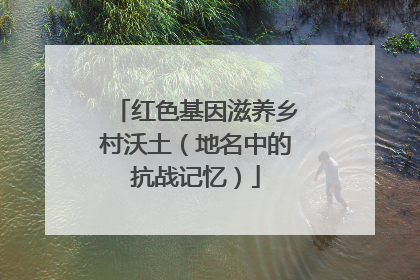 红色基因滋养乡村沃土（地名中的抗战记忆）