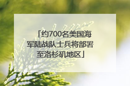 约700名美国海军陆战队士兵将部署至洛杉矶地区