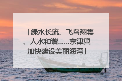 绿水长流、飞鸟翔集、人水和谐……京津冀加快建设美丽海湾