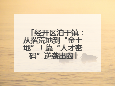 经开区泊于镇：从撂荒地到“金土地”！靠“人才密码”逆袭出圈