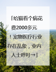 给猫看个病花费2000多元！宠物医疗行业存在乱象，业内人士呼吁→