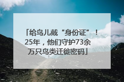 给鸟儿戴“身份证”！25年，他们守护73余万只鸟类迁徙密码