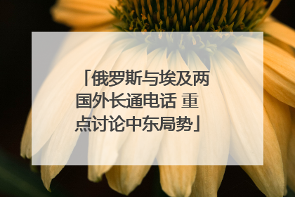俄罗斯与埃及两国外长通电话 重点讨论中东局势