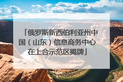 俄罗斯新西伯利亚州中国（山东）信息商务中心在上合示范区揭牌