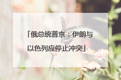 俄总统普京：伊朗与以色列应停止冲突