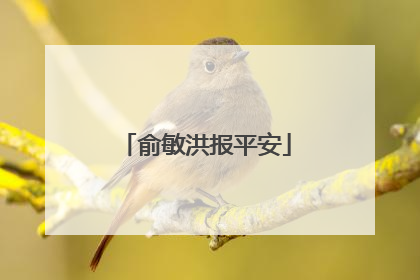 俞敏洪报平安