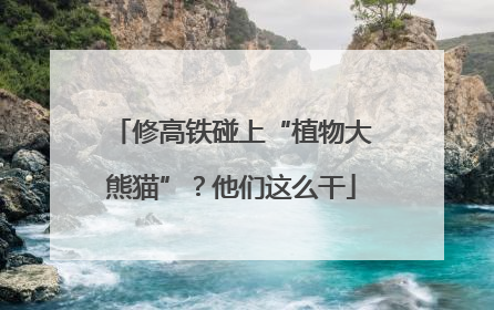 修高铁碰上“植物大熊猫”？他们这么干