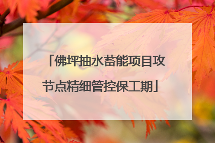 佛坪抽水蓄能项目攻节点精细管控保工期