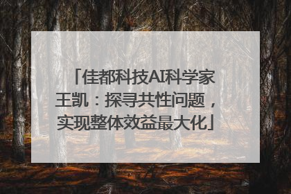 佳都科技AI科学家王凯：探寻共性问题，实现整体效益最大化