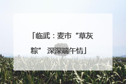 临武：麦市“草灰粽” 深深端午情