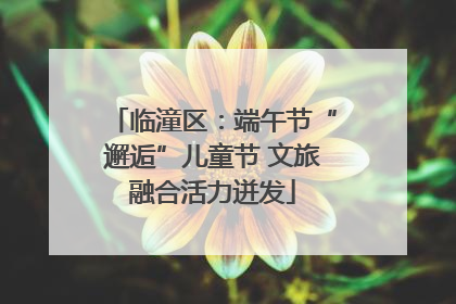 临潼区：端午节“邂逅”儿童节 文旅融合活力迸发