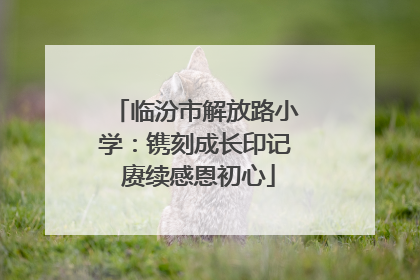 临汾市解放路小学：镌刻成长印记 赓续感恩初心