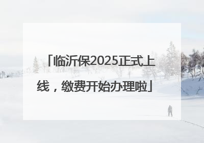 临沂保2025正式上线，缴费开始办理啦
