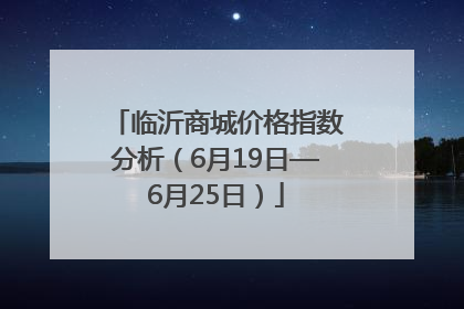 临沂商城价格指数分析（6月19日—6月25日）