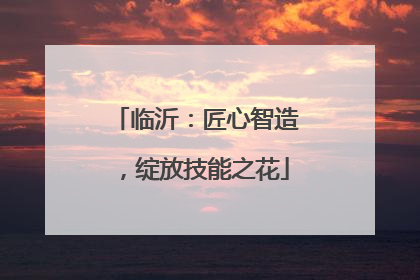 临沂：匠心智造，绽放技能之花