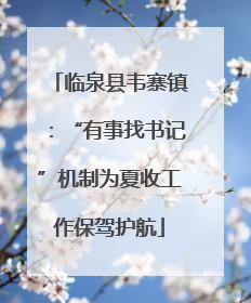 临泉县韦寨镇：“有事找书记”机制为夏收工作保驾护航