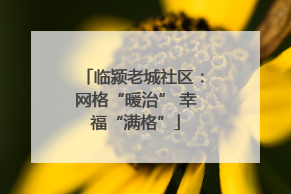 临颍老城社区：网格“暖治” 幸福“满格”