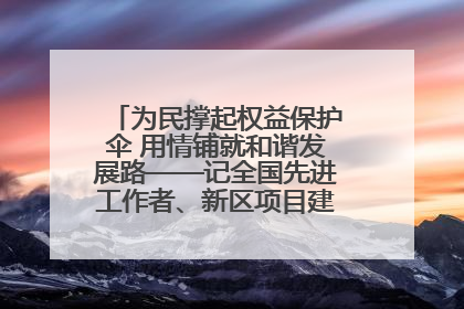 为民撑起权益保护伞 用情铺就和谐发展路——记全国先进工作者、新区项目建设中心干部卢小勇