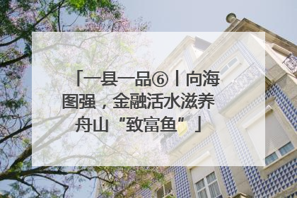 一县一品⑥丨向海图强，金融活水滋养舟山“致富鱼”