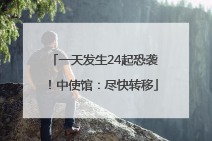 一天发生24起恐袭！中使馆：尽快转移