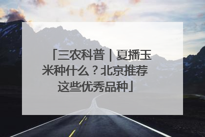 三农科普｜夏播玉米种什么？北京推荐这些优秀品种
