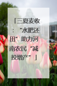 三夏麦收：“水肥还田”助力河南农民“减投增产”