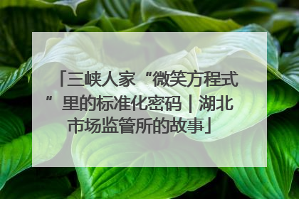 三峡人家“微笑方程式”里的标准化密码｜湖北市场监管所的故事