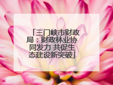 三门峡市财政局：财政林业协同发力 共促生态建设新突破