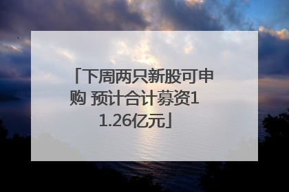 下周两只新股可申购 预计合计募资11.26亿元