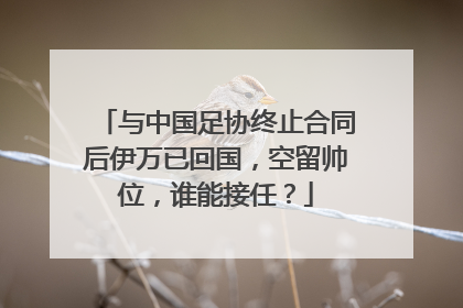 与中国足协终止合同后伊万已回国，空留帅位，谁能接任？