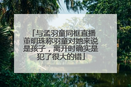 与孟羽童同框直播 董明珠称羽童对她来说是孩子，离开时确实是犯了很大的错