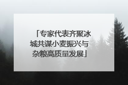专家代表齐聚冰城共谋小麦振兴与杂粮高质量发展