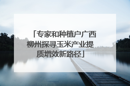 专家和种植户广西柳州探寻玉米产业提质增效新路径