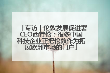 专访丨伦敦发展促进署CEO西特伦：很多中国科技企业正把伦敦作为拓展欧洲市场的门户